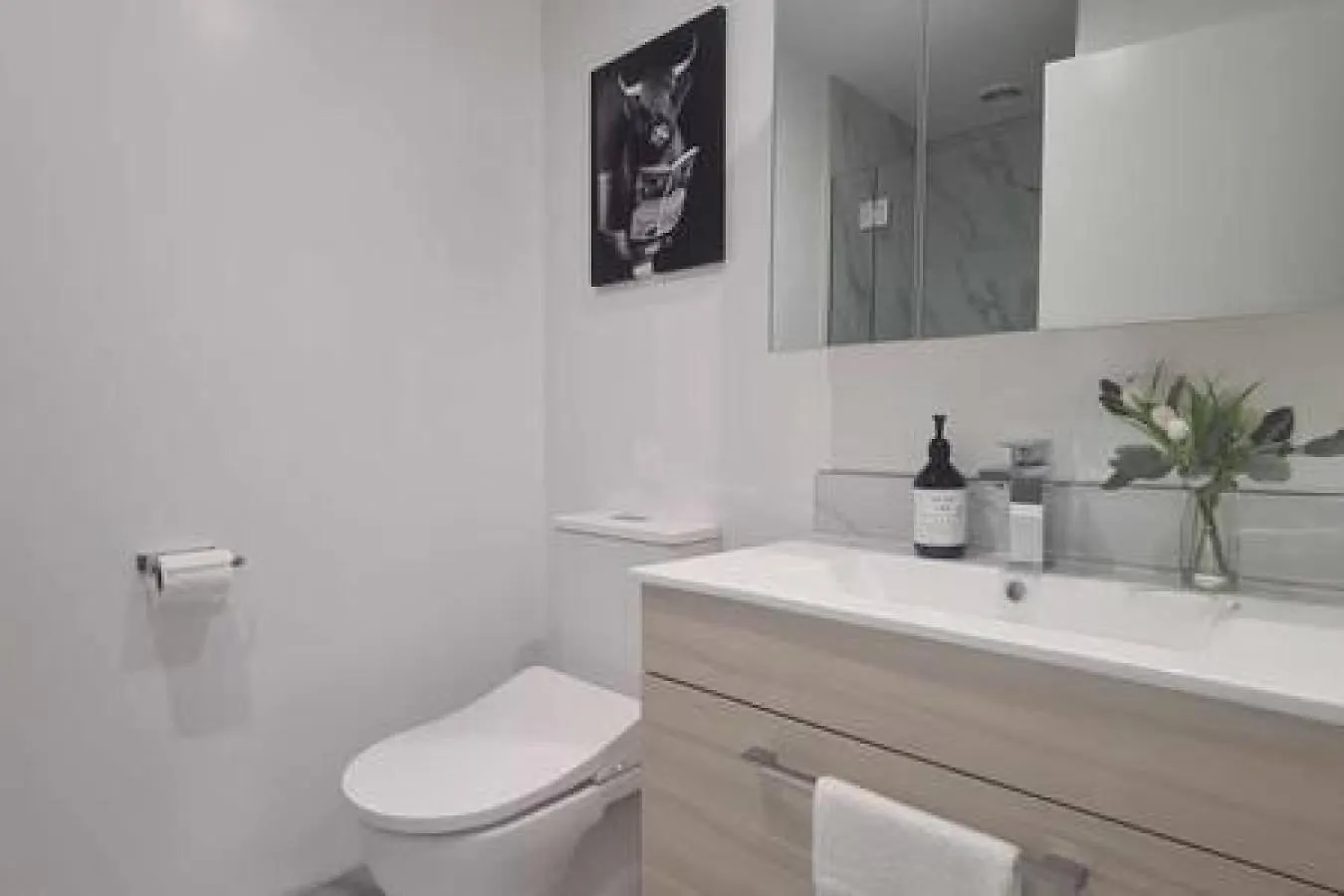 Lovely Central City Apartment St Asaph Street 103 Christchurch